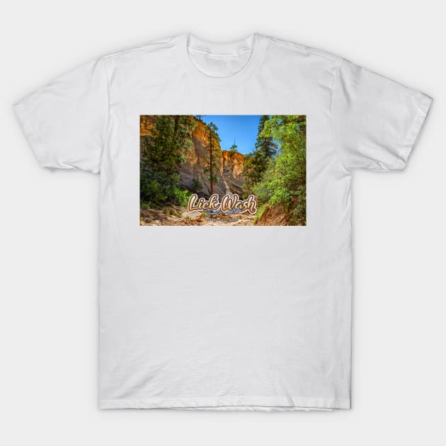 Lick Wash Trail Hike T-Shirt by Gestalt Imagery